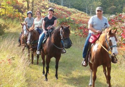 Four people ride horses in single file along a grassy trail at Silver Sage Ranch, enjoying a sunny day outdoors surrounded by scenic trees and bushes. They smile, wearing casual clothes with helmets or hats.